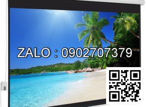 Màn Điện Remote Screen 160