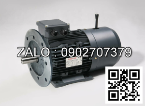 Motor giảm tốc WANSHSIN mặt bích 1/2 HP 400W đầu cốt lòi 32mm , tỉ số truyền 100-200