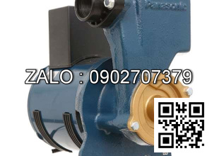 Máy Bơm Nước A 130Jack 125W