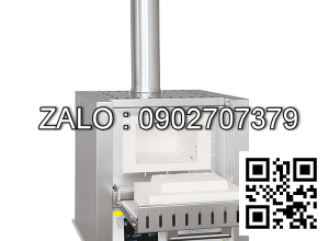 LÒ NUNG ĐỐT TRO Hãng Nabertherm Model : LV9/11