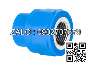 Nối nhựa giảm MS RN/RT 21/27