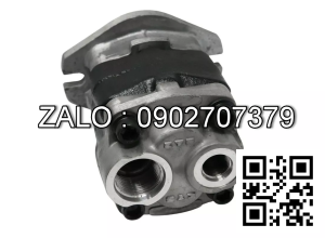 HYDRAULIC PUMP （TCM) TCM FD20-30Z5/C240PKJ 117M7-10321