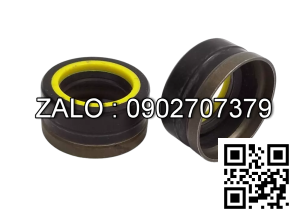 Phốt GNB 25.5x41.1x8