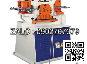 Máy cắt đột chấn liên hợp 100 tấn IW-100S