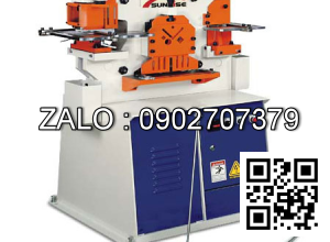 Máy cắt đột đa năng IW-45K