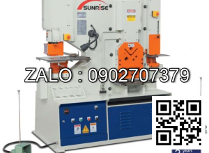 Máy cắt đột liên hợp IW-60B