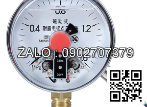 ĐỒNG HỒ ÁP SUẤT 3 KIM CHÂN THẲNG CÓ DẦU