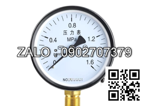 Đồng hồ đo áp suất hướng tâm Y100