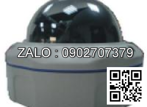 Camera áp trần D3W-300