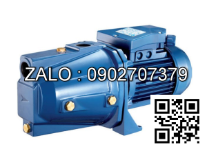 Bơm đầu Jet Pentax Cam 100