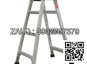 Thang Hasegawa RS-21