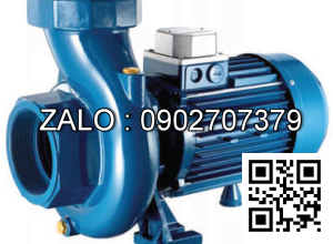 Máy bơm nước Pentax CST 300/3