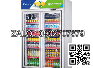 Tủ đông 2 cánh kính quạt gió Kincool