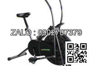 Xe đạp tập thể dục liên hoàn tay chân Royal 963