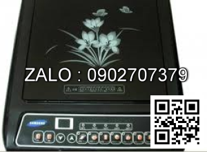 Bếp từ Philip P-B31