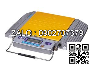 Cân Xe Tải Xách Tay RW 10S