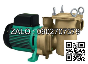 Máy bơm lốp ô tô bằng khí ni tơ 800B