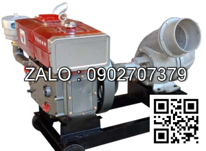Máy bơm nước đầu nổ MB-D12