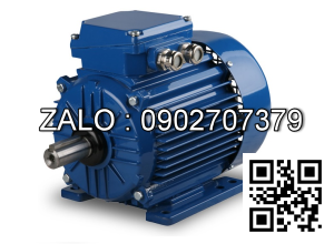 Motor điện 2.2kW - 3HP 1400 vòng