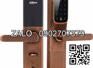 Khóa cửa Dahua DHI-ASL8112S