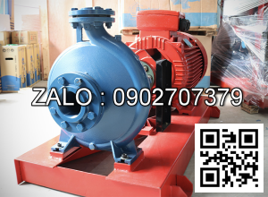 BƠM PCCC ĐIỆN MARELLIMOTORI 22KW KIRLOSKAR DB 50/26