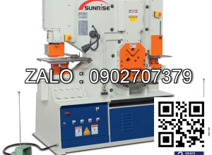 MÁY CẮT ĐỘT LIÊN HỢP SUNRISE IW-125SD