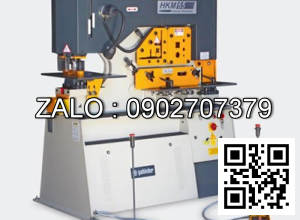 Máy cắt đột liên hợp thủy lực Sahinler HKM65