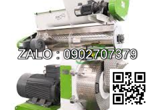 Máy nghiền viên cao cấp SZLH558D