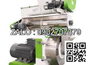 Máy nghiền viên cao cấp SZLH508E