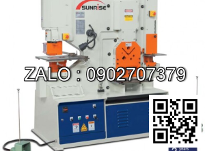 Máy cắt đột liên hợp IW-60B