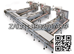 Băng tải cap phoi SU-Sidel 1