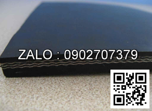 Băng tải 2 lop bo 4850*780*3mm Hypet 40