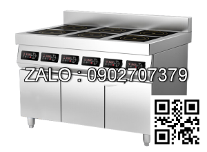 Bếp từ âu 6 họng công suất 3500W 35P6