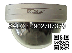 Camera quan sát Goldeye SVD23L