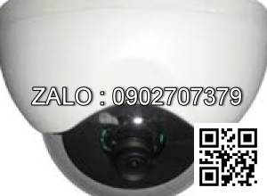 Camera Coretek EC-102RP (SO4)