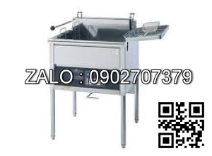 Bếp chiên điện FUJIMARK FEFS259T