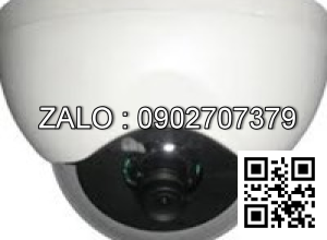 Camera Coretek EC-102RP