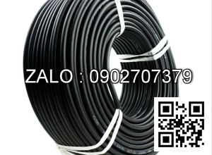 Day dien dieu khien hop nut Palang 10T