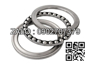 Bade nam 2 lo FYL205 + Bạc đạn UC 205