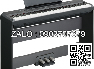 Đàn Piano Yamaha P-105B