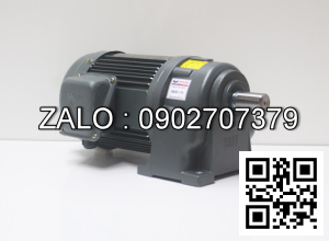 Hộp giảm tốc WANSHSIN Chân đế 7.5 HP 5500W đầu cốt lòi 50mm , tỉ số truyền 11-30