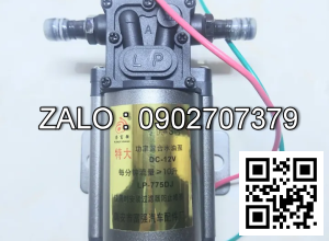 Bơm tưới lốp 24V LEIER 1 đầu bơm tâm lỗ bắt 72mm