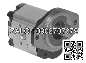 Bơm Piston Toyooki HPP-VD2V-L31A3-A