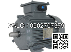 Motor Model:3IK15A-C,MTN Aseptic1,2