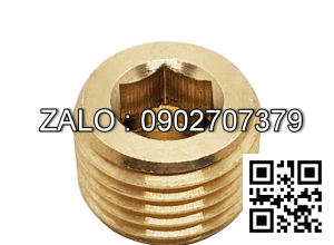 Ốc Nhét Nước Lục Giác Bằng Đồng Ren PT 3/8