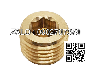 Ốc Nhét Nước Lục Giác Thép Đen Ren PT 3/8