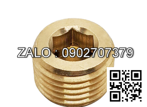 Ốc Nhét Nước Lục Giác Thép Đen Ren PT 3/4