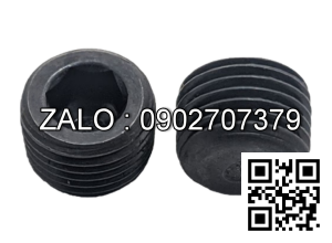 Ốc Nhét Nước Thép Đen 5.8 DIN906 M10x1.0