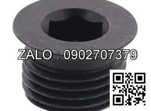 Screw Plugs Type Washer Face M28 MSWZH28