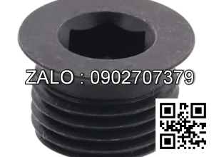 Screw Plugs Type Washer Face - Short M12x10 MSWZSH12-10